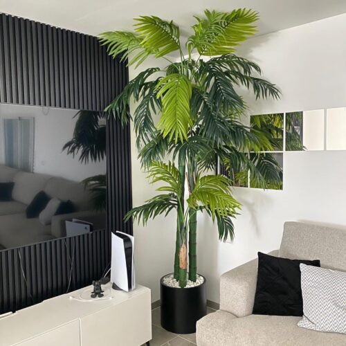 עץ דקל 3 מטר🌴