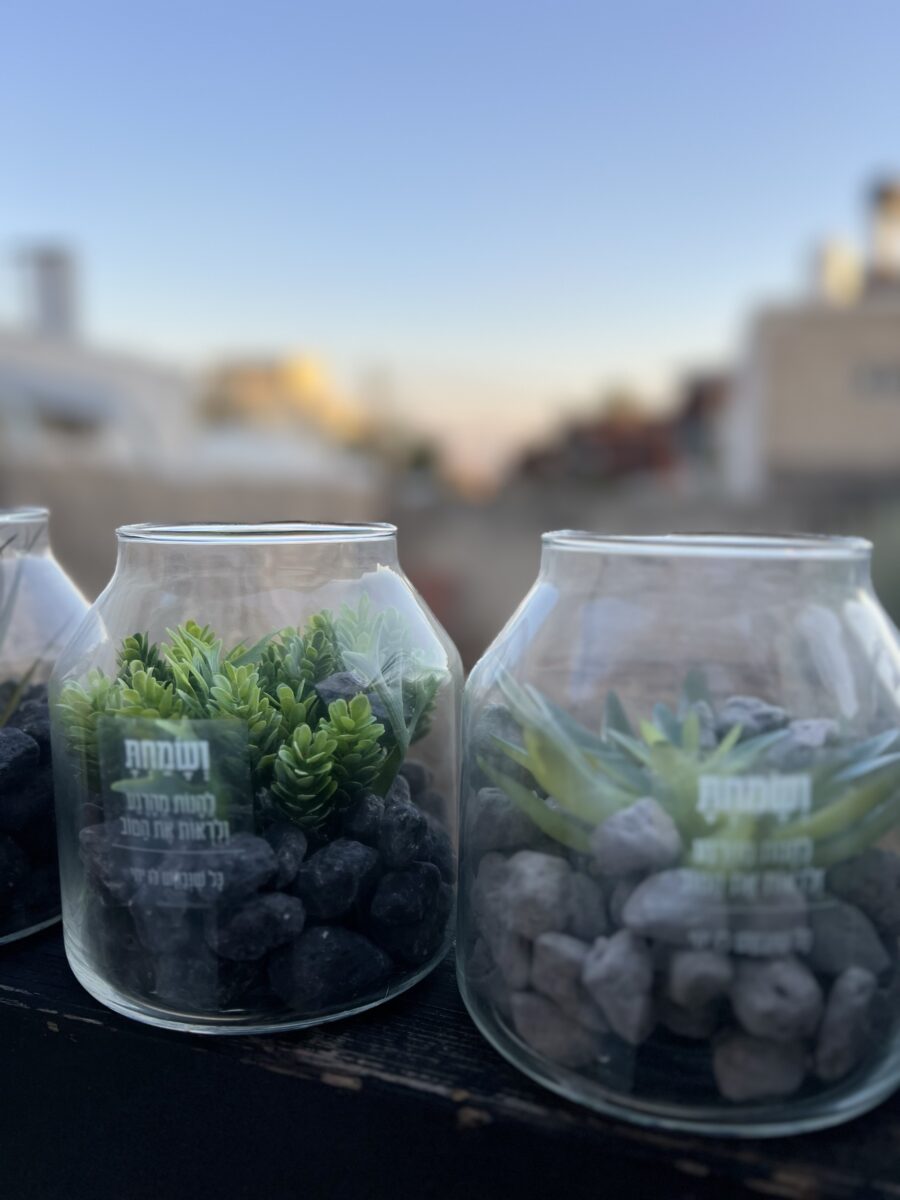 צמח בתוך זכוכית