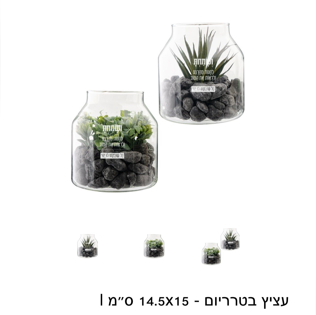 צמח בתוך זכוכית – תמונה 4