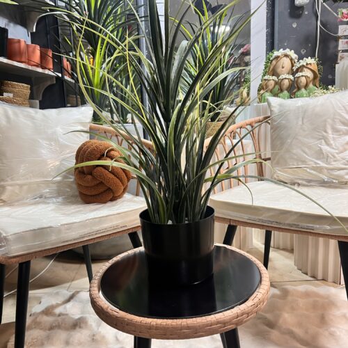 סט ישיבה 2 מרטאן טבעי